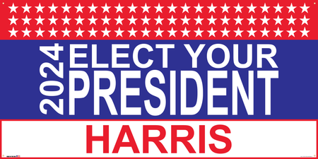 Election Banner on Banner Design Three Rows of White Stars Top Text Box Bottom Blue Center Box Red Bkg