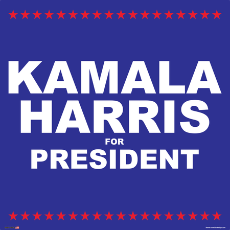 Election Sign on Sign Design Blue Border with Stars on White Background